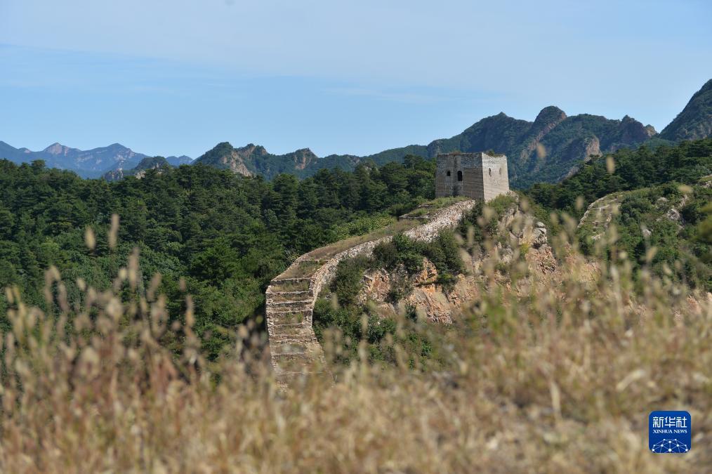 彩金免费送